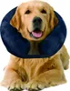 Pawise Collier de protection gonflable pour chiens, Taille Voir les images du produit 3
