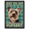 Yorkshire Terrier - Bist du am Pupsen? Hunde Poster Produktbild-Vorschau 1