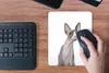 MuchoWow® Mauspad Mousepad Überrascht Sphynx auf einem Produktbild-Vorschau 4