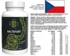 Bactefort - 60 Kapseln Produktbild-Vorschau 7