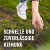COMPO Rasensaat Spiel und Sport 8 kg für 400 m² Produktbild-Vorschau 4