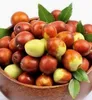 Jujube (Chinesische Dattel) ´DONG ZAO´ 40-50 cm, Cont. 2 l Produktbild-Vorschau 2