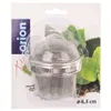 A tea infuser in its retail packaging, with green leaves in the background. Voir les images du produit