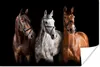 MuchoWow® Poster Pferde - Tiere - Schwarz 120x80 cm - Produktbild-Vorschau 1