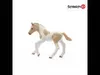 schleich HORSE CLUB 13886, 5 Jahr(e), Horses, Mehrfarbig, Produktbild-Vorschau 3