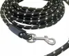 Lange Hundeleine 10M Training Reflektierend Langlebig 50Kg Produktbild-Vorschau 10