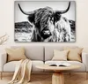 OneMillionCanvasses® - Plátno - Skotský horal - Příroda - Náhled obrázku produktu 6