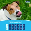 Inaba Dog Churu Hundesnack Lachs & Garnelen Geschmack 4 x Produktbild-Vorschau 7