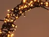 A close-up view of a string of warm white fairy lights arranged in a curve against a plain background. Produktbild-Vorschau