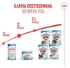 Royal Canin Starter Mousse Mother & Baby Dog, Universal, Produktbild-Vorschau 10