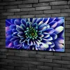 Tulup® Glas-Bild - 100x50 -Wandkunst - Wandbild hinter Produktbild-Vorschau 2