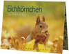 Postkartenbuch Eichhörnchen Postkartenbücher Ansichtskarte Produktbild-Vorschau 1