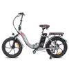 F20Pro 20 pollici bici elettrica pieghevole, 250W 36V 20AH Anteprima dell’immagine prodotto 4