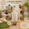 4 x 3L Flasche mit Schraubverschlüss Weinballon Glasballon Produktbild-Vorschau 4