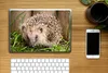 MuchoWow® Laptop Aufkleber Sticker Cover Igel für Produktbild-Vorschau 2