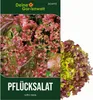 Pflücksalat Lollo rossa Samen - Lactuca sativa - Produktbild-Vorschau 1