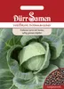 Weißkohl Dithmarscher | Weißkohlsamen von Dürr Samen Produktbild-Vorschau 3
