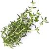 Véritable 3760262511054, Essbare Pflanze, Thymus, Produktbild-Vorschau 2