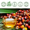 Premium Batana Haaröl 60ml Kaltgepresst | Intensiv-Haaröl Produktbild-Vorschau 2