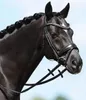 Passier Snaffle PASSIERBLU Spirit Snaffle Briglia Anteprima dell’immagine prodotto 6