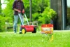 Rasen-Langzeitdünger WOLF Garten 'Super' 0,5 kg für 50 m² Produktbild-Vorschau 8