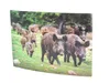 3D Postkarte Wildschwein Familie Produktbild-Vorschau 1