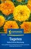 Artikelbild 2 von 'Tagetes Hohe Erecta Mischung' aus der Kategorie Studentenblumensamen Produktbild-Vorschau