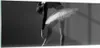 Bilder auf glas - Einteilig - Ballerina Figur Schwarz und Produktbild-Vorschau 1