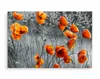 Fabelhafte Canvas LEINWAND BILDER 120x80 cm XXL Kunstdruck Produktbild-Vorschau 3