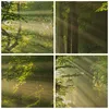 Bild auf Leinwand - Leinwandbild - Wald Baum Natur - Produktbild-Vorschau 8