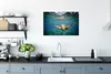 MuchoWow® Poster Schildkröte - Wasser - Blau 60x40 cm - Produktbild-Vorschau 3