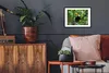 MuchoWow® MuchoWow® Gerahmtes Poster Tukan im Baum 40x30 cm Produktbild-Vorschau 3