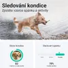 A dog running in water with text overlays about its condition and sleep tracking. Anteprima dell’immagine prodotto