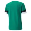 Puma Teamrise Trikot Kurzarm Kinder - Grün Produktbild-Vorschau 2