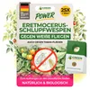 Eretmocerus Schlupfwespen gegen weiße Fliegen & Produktbild-Vorschau 1