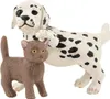 Veterinární praxe s domácími zvířaty Náhled obrázku produktu 17