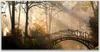 Glasbilder 140x70 Wandbild Druck auf Glas Wald Brücke Produktbild-Vorschau 1