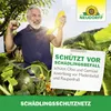 Neudorff SchädlingsschutzNetz 2,30m x 4,25m - Feinmaschiges Produktbild-Vorschau 6
