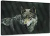 Leinwandbild grauer wolf 60x40 cm Feeby grau wandbild Produktbild-Vorschau 1