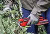 EINHELL Professional Akku-Astschere GP-LS 18/28 Li BL-Solo, Produktbild-Vorschau 18