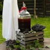 A large glass carboy filled with dark liquid, placed on a wooden crate with grapes, set outdoors on a wooden table. Produktbild-Vorschau