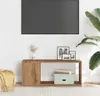 A TV stand with decorative items and a plant in a modern living room setting. Anteprima dell’immagine prodotto
