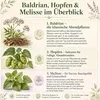 Baldrian Hopfen & Melisse 180 Pulver Kapseln. Nerven Produktbild-Vorschau 11