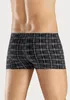 H.I.S. Boxer Boxershorts für Herren 5 -teilig anthra / Produktbild-Vorschau 3
