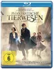 Phantastische Tierwesen und wo sie zu finden sind [Blu-ray] Náhľad obrázku produktu 4