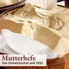Klassischer Panettone 1 kg Fraccaro 1932 mit kandierten Produktbild-Vorschau 6