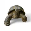 Tortue en pierre - Piscine, jardin, terrasse - Jaunâtre en Voir les images du produit 1