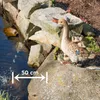esotec Wasserspeier Gans mit Küken Einzelfigur mit Schlauch Produktbild-Vorschau 2