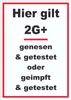 Hier gilt 2G Plus Hinweis Schild mit Text hochkant A2 Produktbild-Vorschau 1