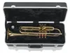 Gator Cases GC-TRUMPET, Schwarz, Produktbild-Vorschau 12